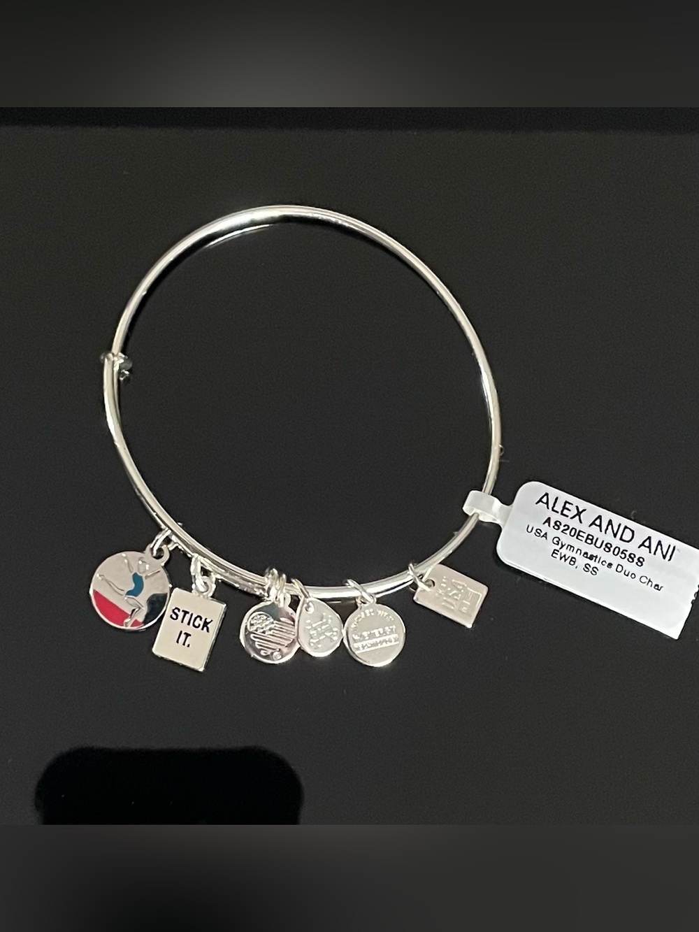 Alex and Ani Silver Charm Bangle Bracelet with Multicolor Accent